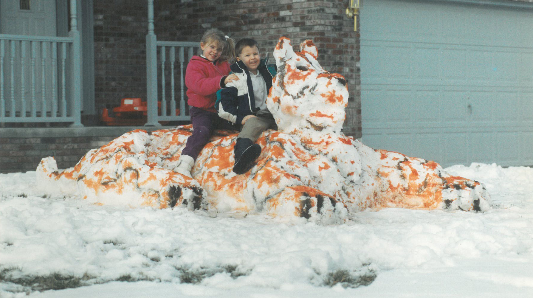 Snow tiger